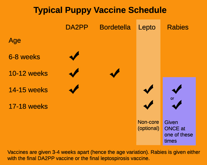 Vaccine shots for store puppies